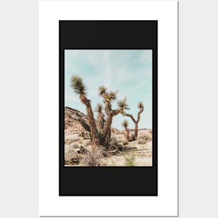 Cacti, Desert, Landscape, Sky, Nature print Posters and Art